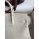 Hermes Birkin 25 Retourne Handmade Bag In Beton Matte Alligator Leather