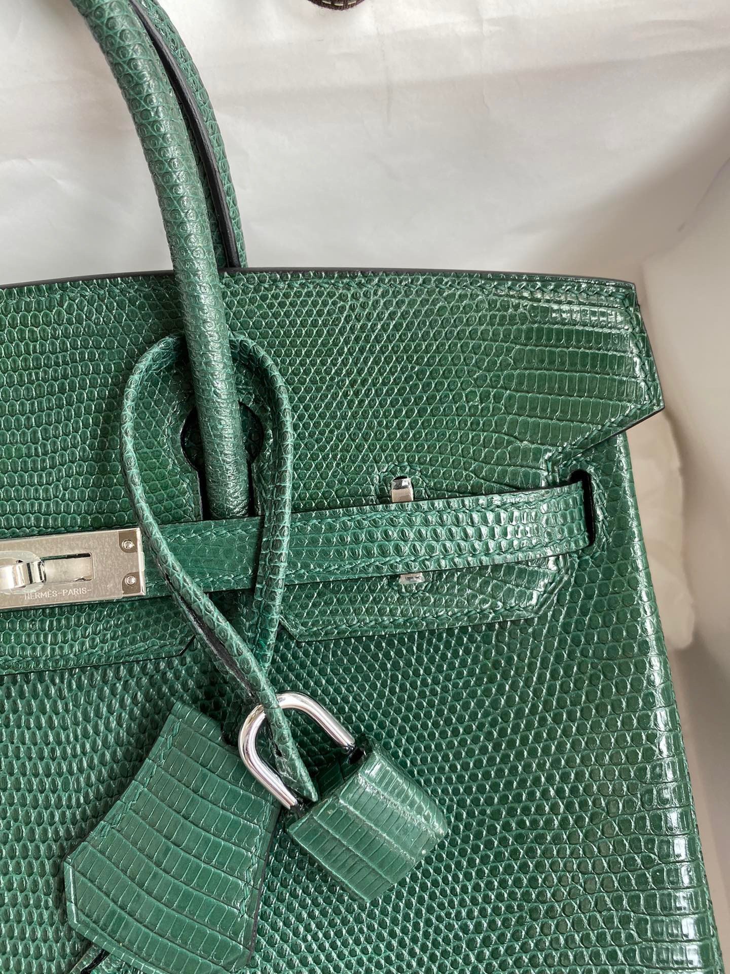 Hermes Birkin 25 Retourne Handmade Bag In Malachite Lizard Leather