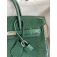 Hermes Birkin 25 Retourne Handmade Bag In Malachite Lizard Leather