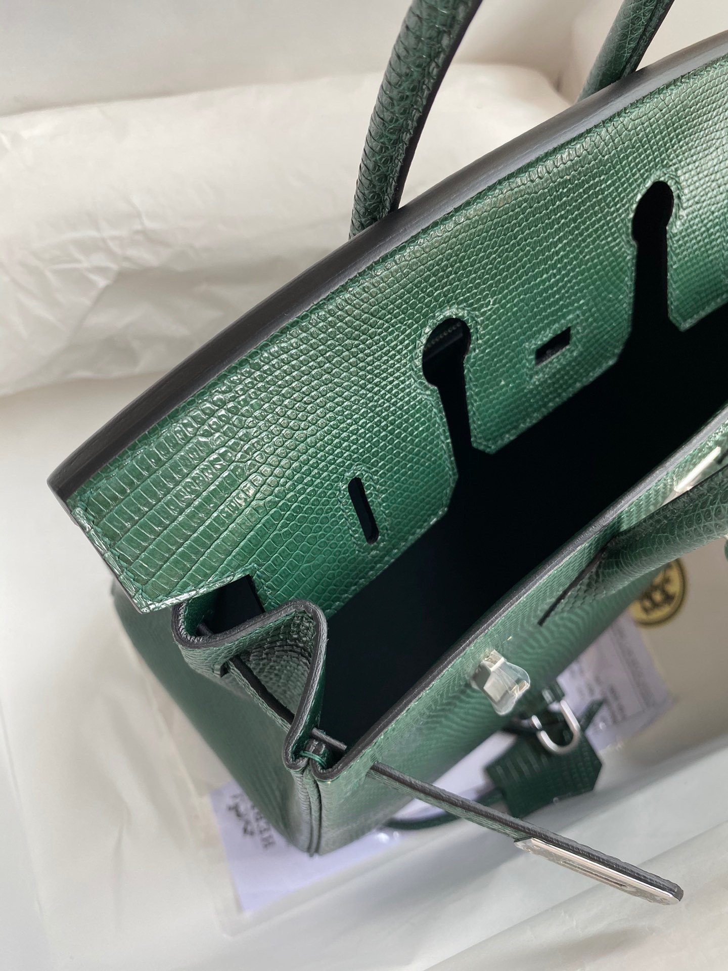 Hermes Birkin 25 Retourne Handmade Bag In Malachite Lizard Leather