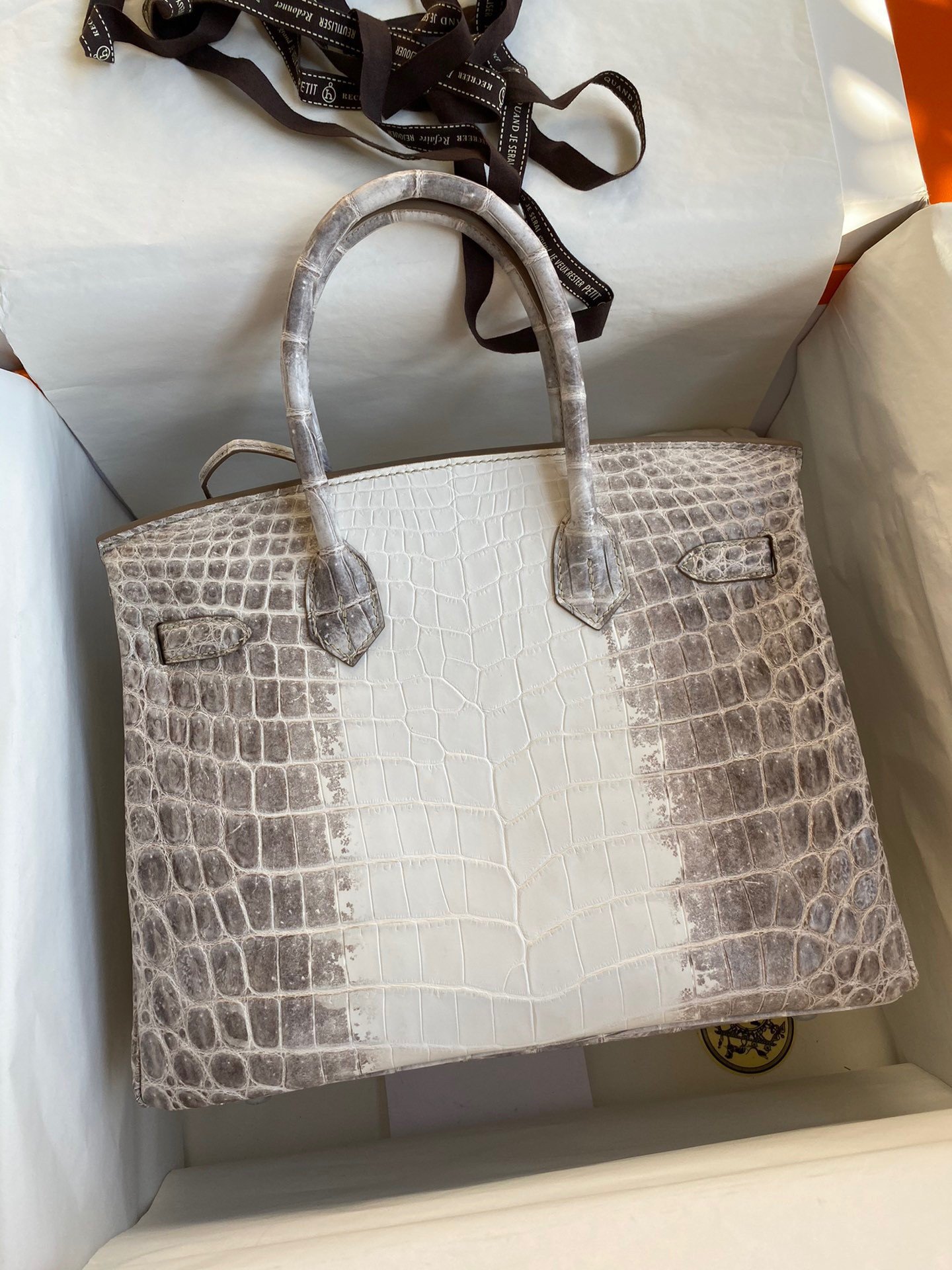 Hermes Birkin 25 Retourne Bag In Himalaya Niloticus Crocodile Skin