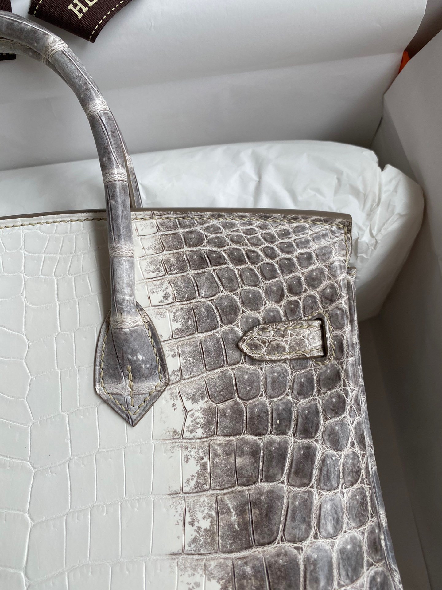 Hermes Birkin 25 Diamond Bag In Himalaya Niloticus Crocodile Skin