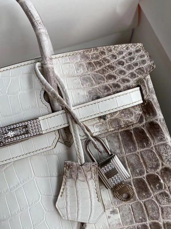 Hermes Birkin 25 Diamond Bag In Himalaya Niloticus Crocodile Skin