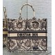 Dior Large Book Tote Bag in Beige Toile de Jouy Soleil Embroidery