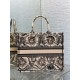 Dior Large Book Tote Bag in Beige Toile de Jouy Soleil Embroidery