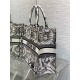 Dior Large Book Tote Bag in White Toile de Jouy Soleil Embroidery