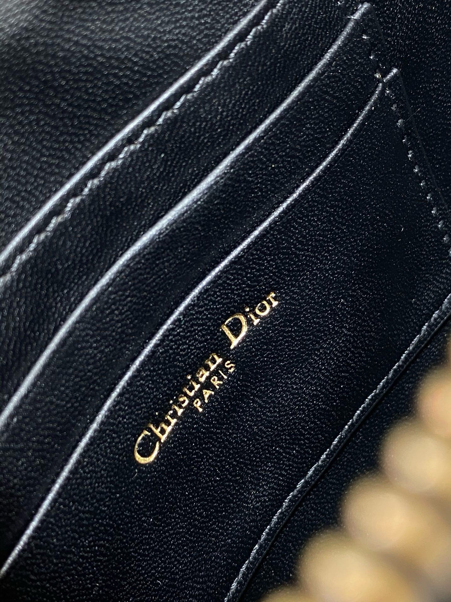 Dior Saddle Rodeo Pouch in Black Goatskin