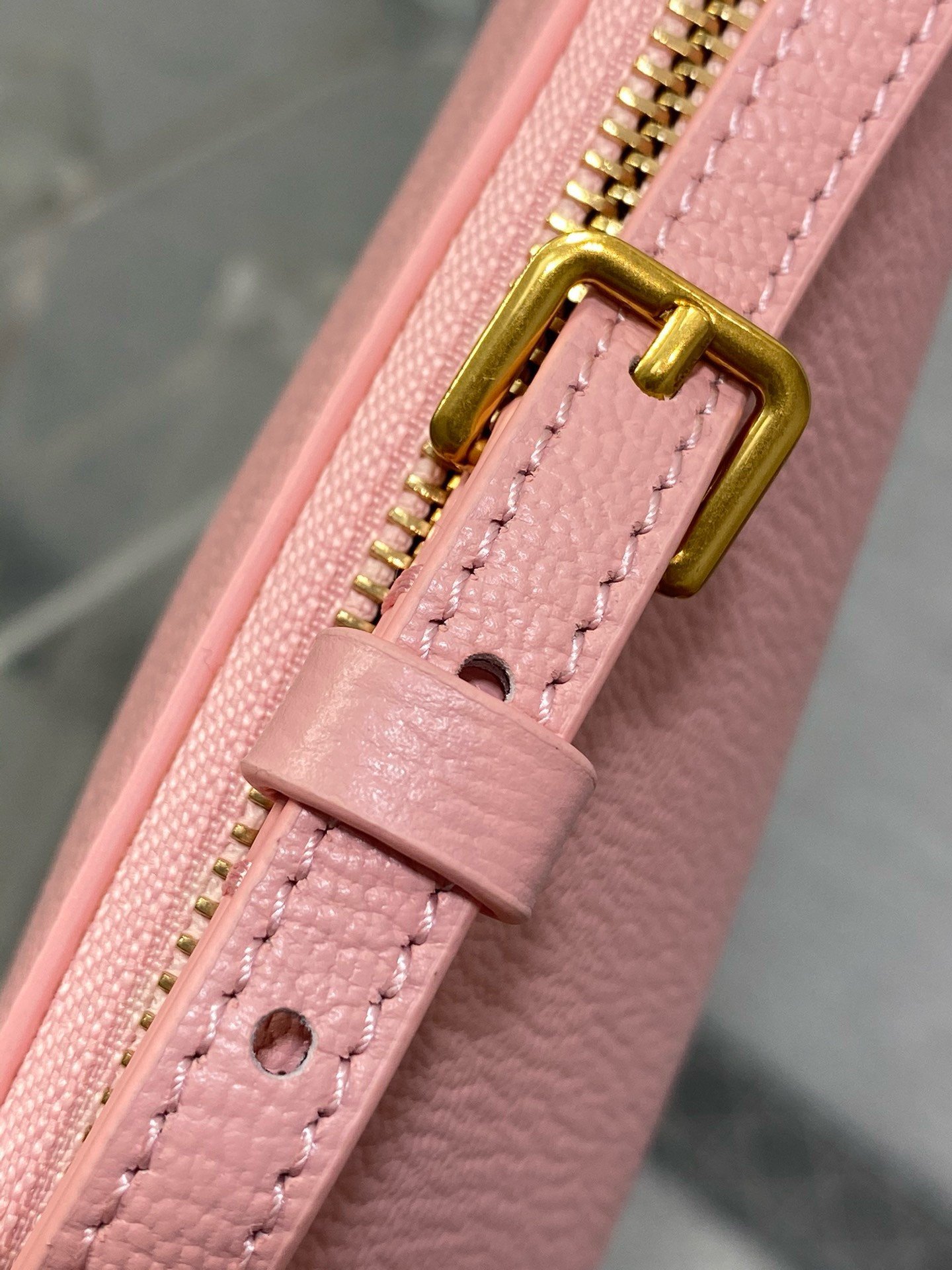 Dior Saddle Rodeo Pouch in Pink Goatskin