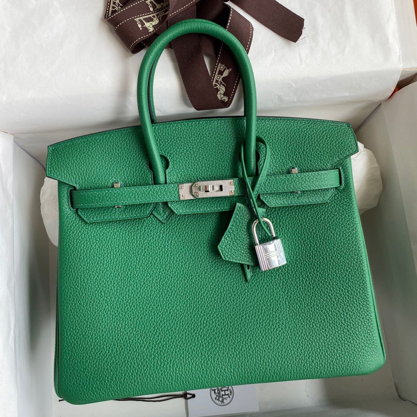 Hermes Birkin 25 Retourne Handmade Bag In Vert Vertigo Clemence Leather