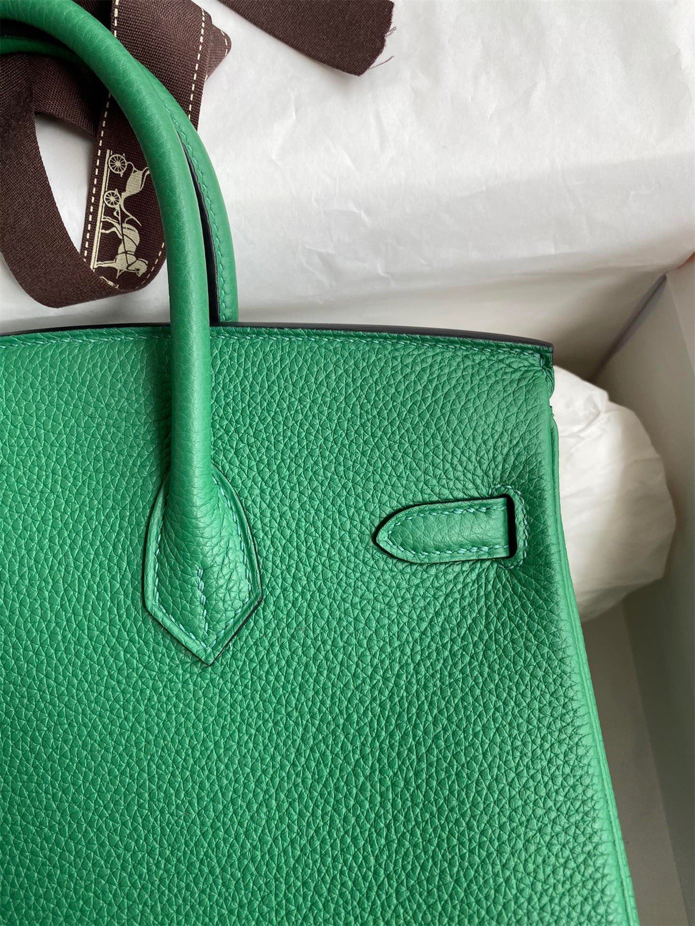 Hermes Birkin 25 Retourne Handmade Bag In Vert Vertigo Clemence Leather