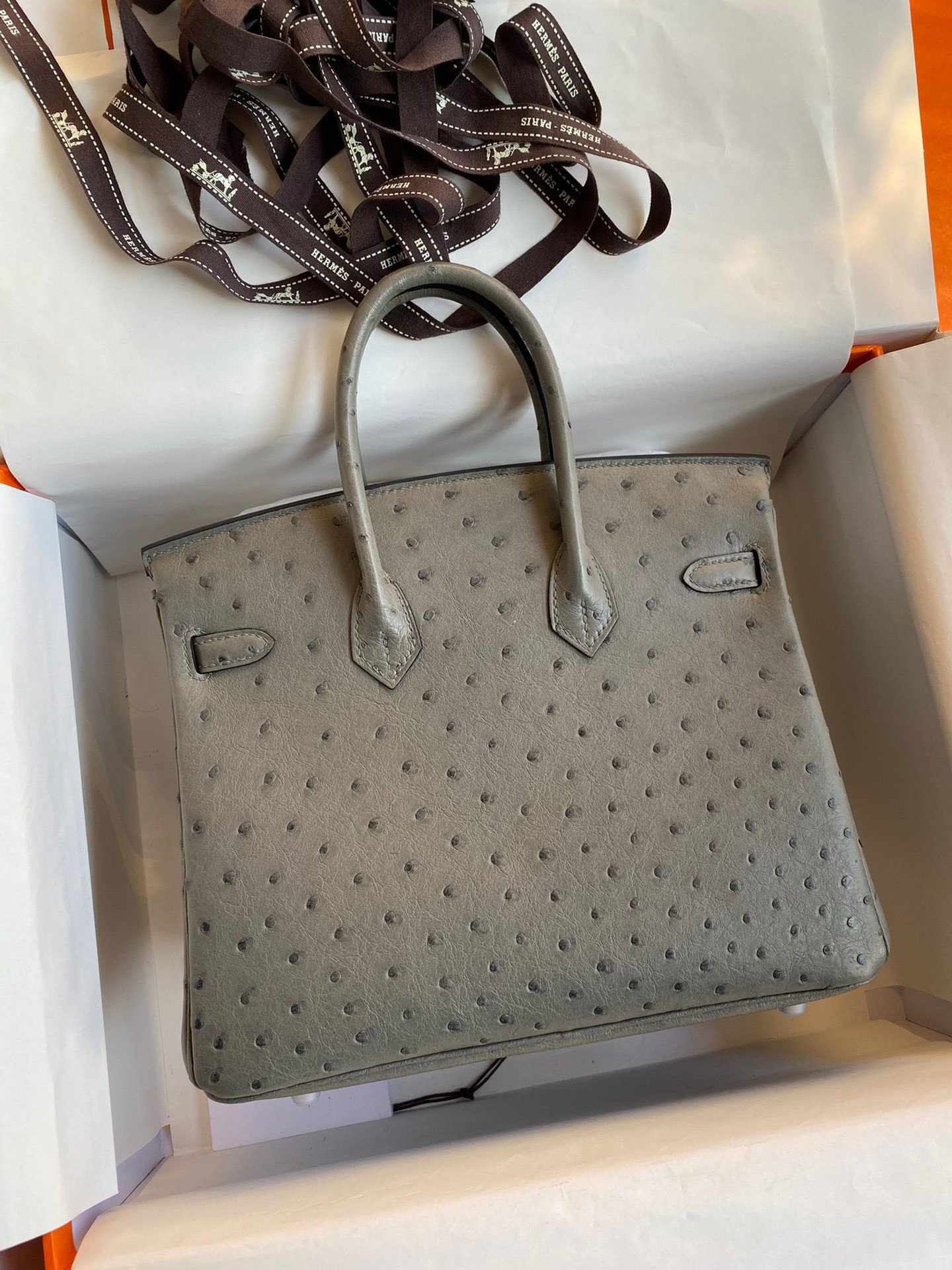 Hermes Birkin 25 Retourne Handmade Bag In Gris Tourterelle Ostrich Leather