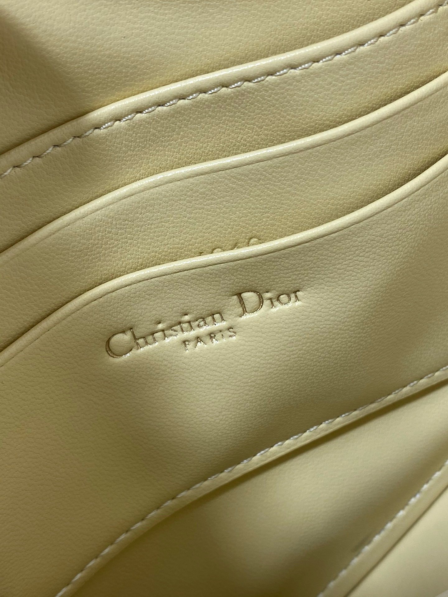 Dior Saddle Rodeo Pouch in Yellow Goatskin