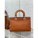 Dior Medium Lady D-Sire My ABCDior Bag in Brown Bull Leather