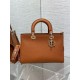 Dior Medium Lady D-Sire My ABCDior Bag in Brown Bull Leather