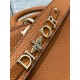 Dior Medium Lady D-Sire My ABCDior Bag in Brown Bull Leather