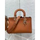 Dior Medium Lady D-Sire My ABCDior Bag in Brown Bull Leather