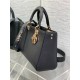 Dior Medium Lady D-Sire My ABCDior Bag in Black Bull Leather