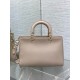 Dior Medium Lady D-Sire My ABCDior Bag in Beige Bull Leather