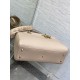 Dior Medium Lady D-Sire My ABCDior Bag in Beige Bull Leather