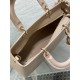 Dior Medium Lady D-Sire My ABCDior Bag in Beige Bull Leather