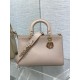 Dior Medium Lady D-Sire My ABCDior Bag in Beige Bull Leather