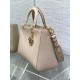 Dior Medium Lady D-Sire My ABCDior Bag in Beige Bull Leather