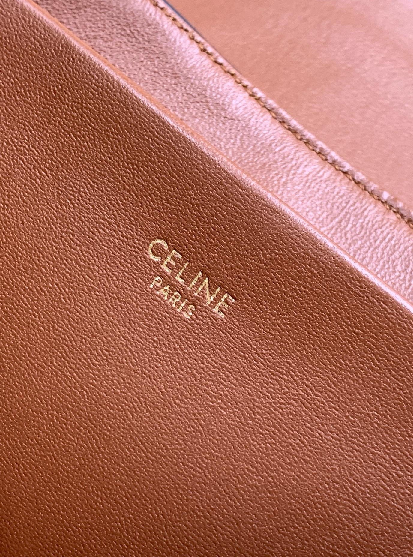 Celine Medium Victoire Bag in Triomphe Canvas