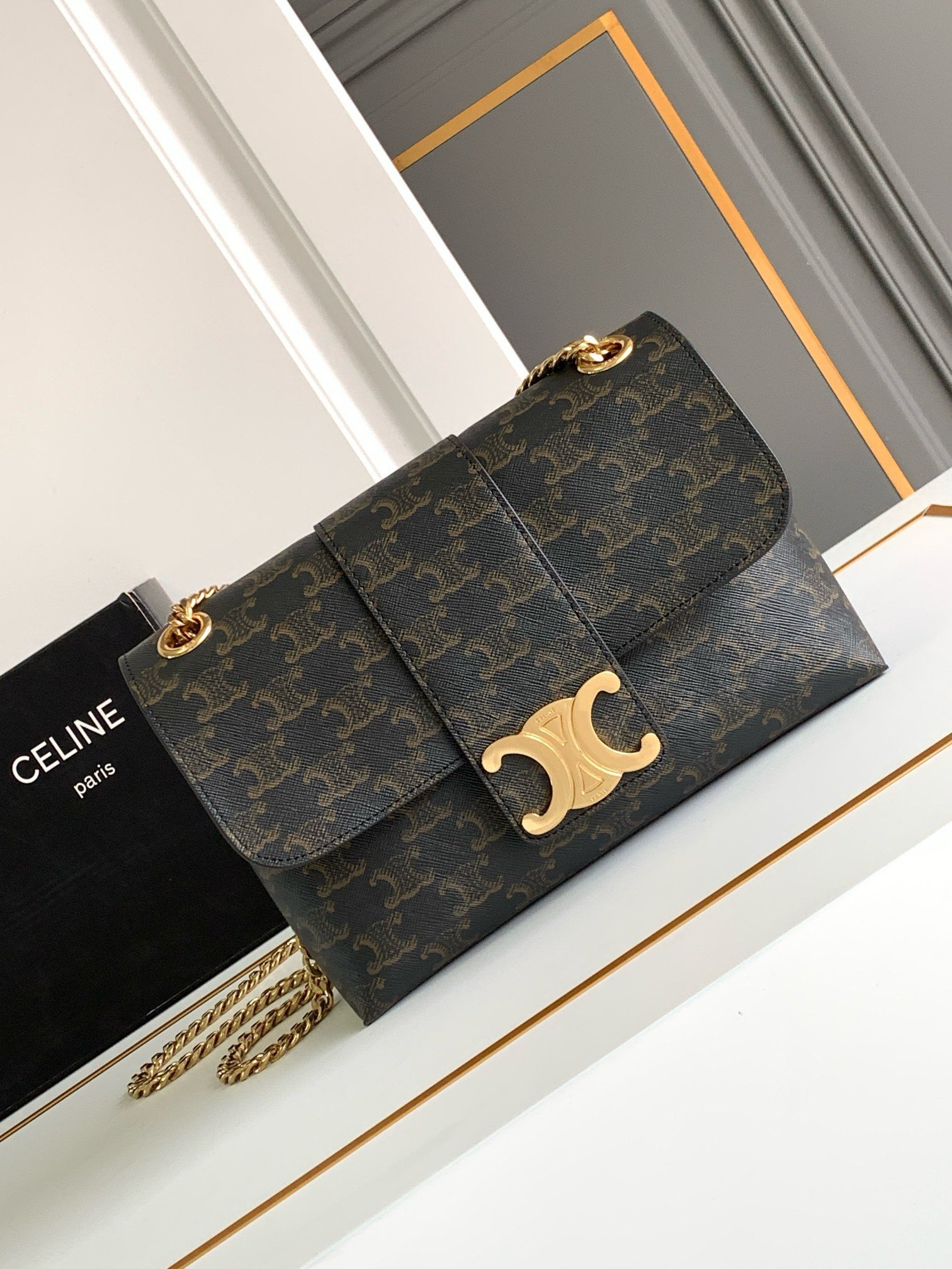 Celine Medium Victoire Bag in Triomphe Canvas