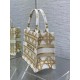 Dior Small Book Tote Bag in White and Gold Macrocannage Embroidery