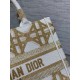 Dior Small Book Tote Bag in White and Gold Macrocannage Embroidery