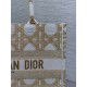 Dior Medium Book Tote Bag in White and Gold Macrocannage Embroidery