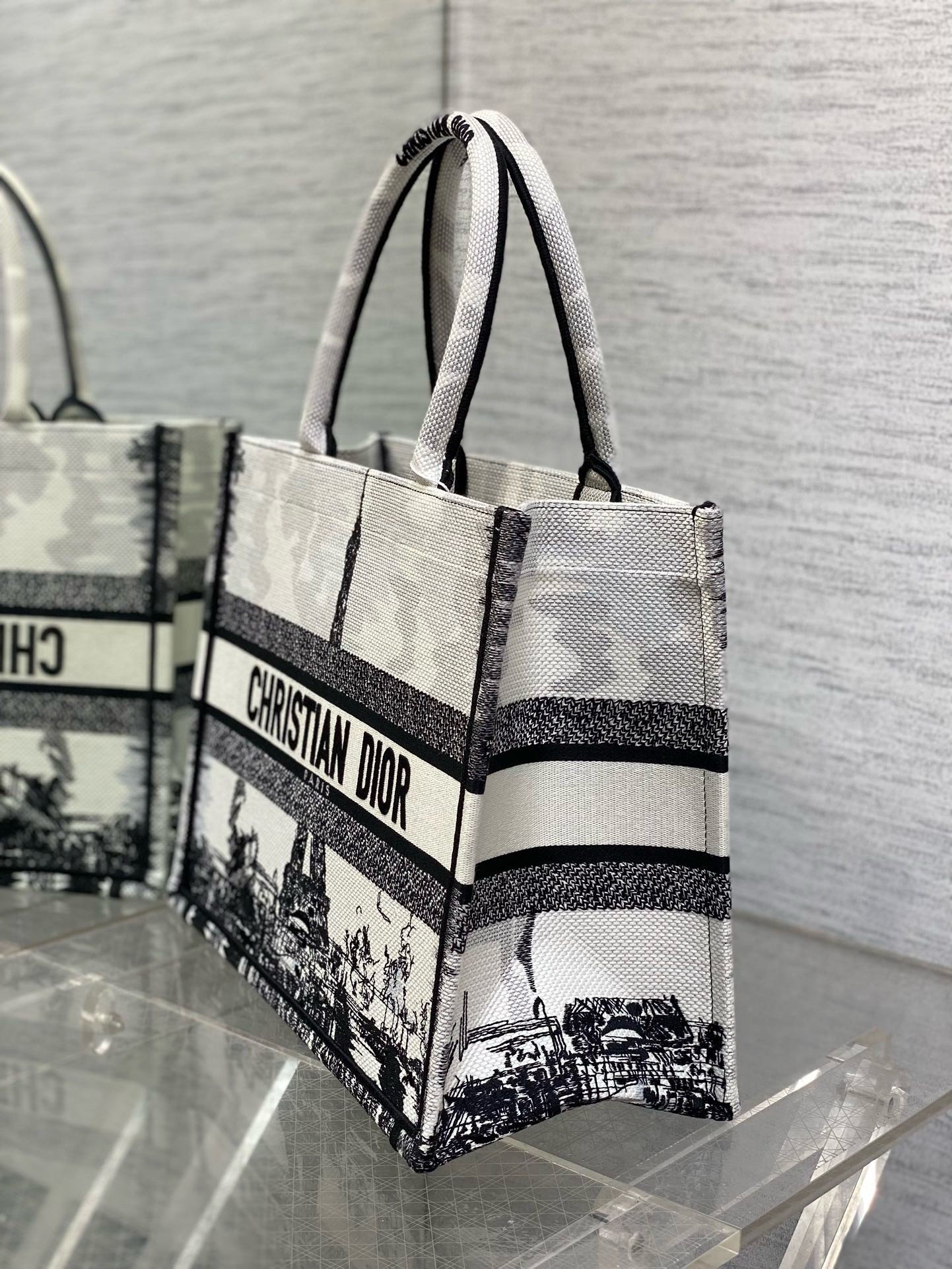 Dior Medium Book Tote Bag in White and Black Paris Embroidery