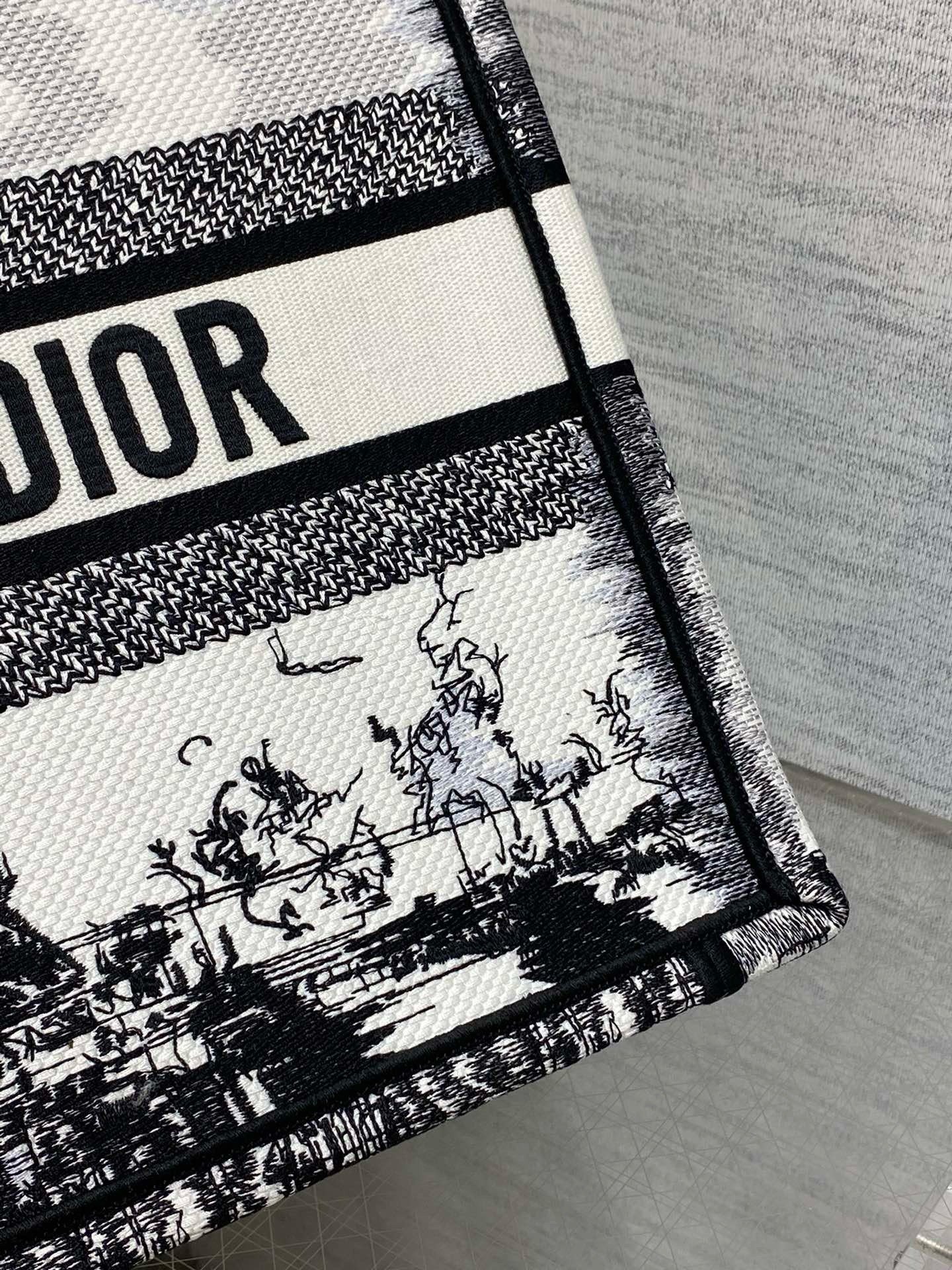 Dior Medium Book Tote Bag in White and Black Paris Embroidery