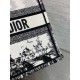 Dior Medium Book Tote Bag in White and Black Paris Embroidery