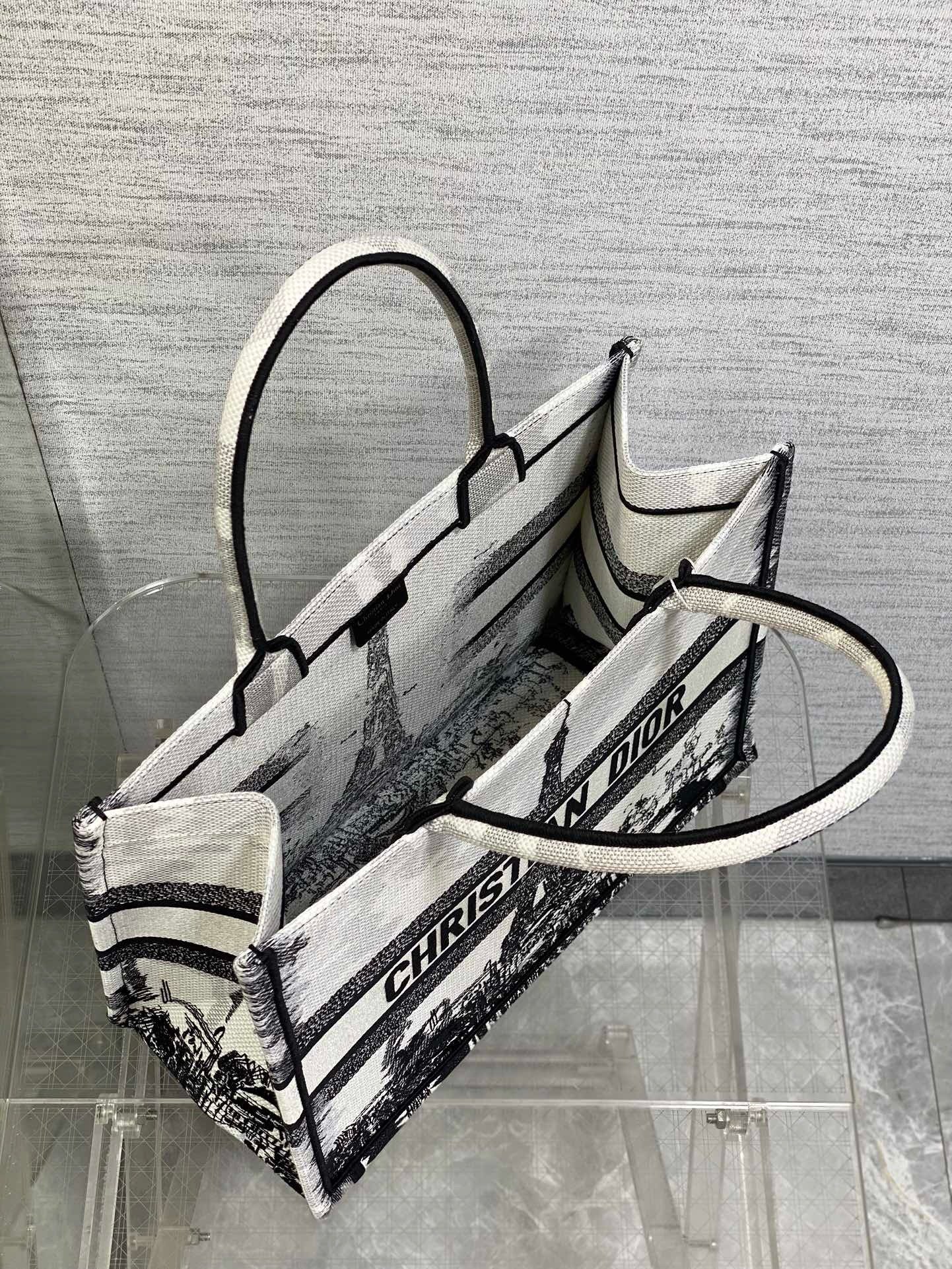 Dior Medium Book Tote Bag in White and Black Paris Embroidery