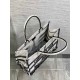 Dior Medium Book Tote Bag in White and Black Paris Embroidery