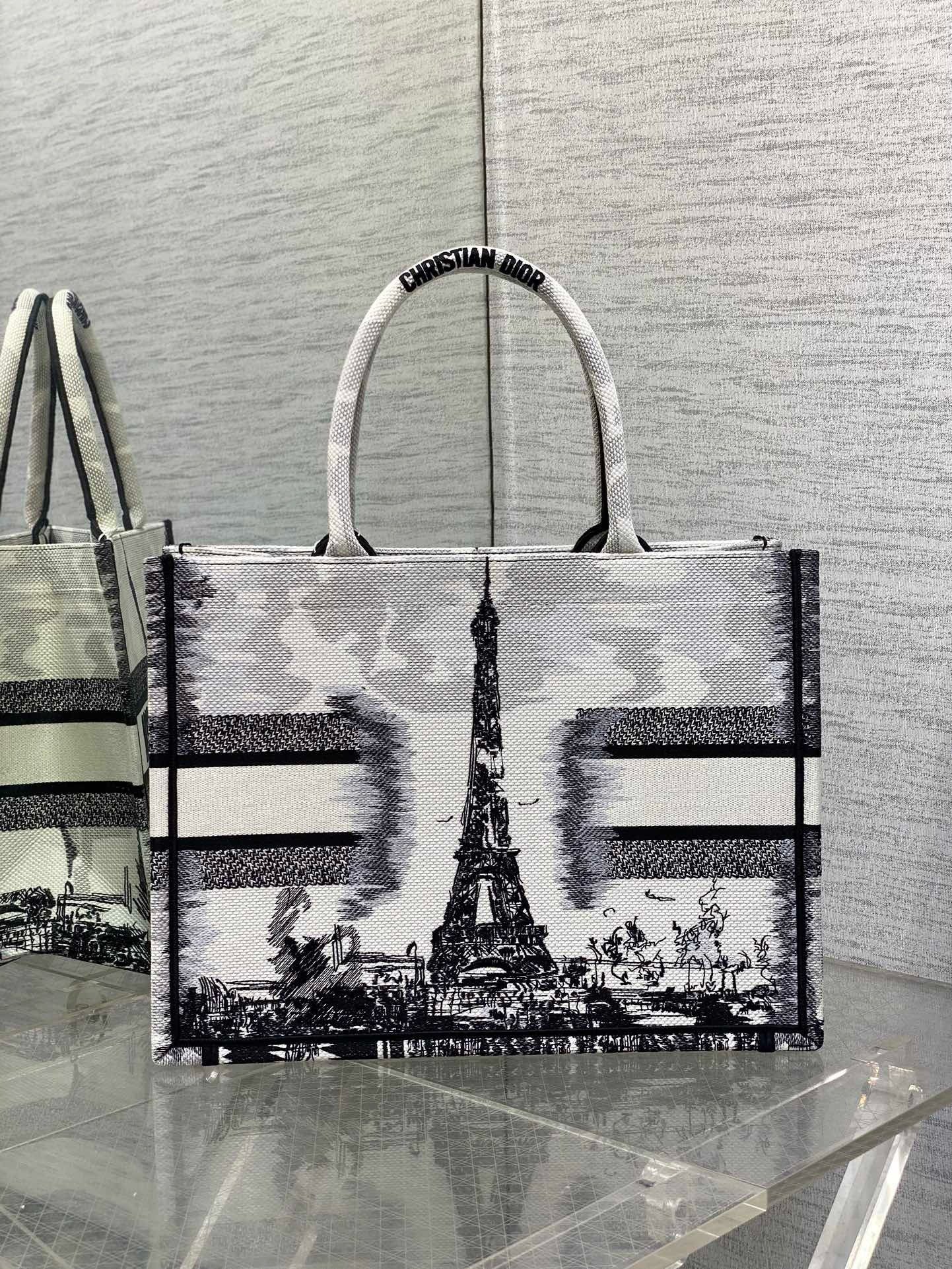 Dior Medium Book Tote Bag in White and Black Paris Embroidery