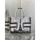 Dior Medium Book Tote Bag in White and Black Paris Embroidery