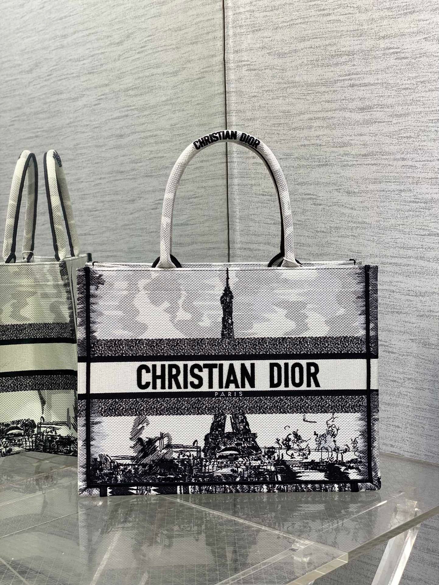 Dior Medium Book Tote Bag in White and Black Paris Embroidery