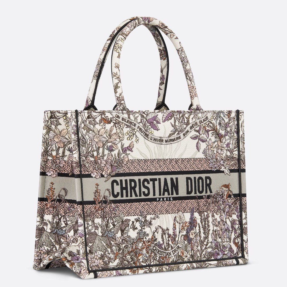 Dior Medium Book Tote Bag in Dior 4 Saisons Hiver Soleil Embroidery