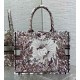 Dior Medium Book Tote Bag in Dior 4 Saisons Hiver Soleil Embroidery