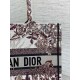 Dior Medium Book Tote Bag in Dior 4 Saisons Hiver Soleil Embroidery