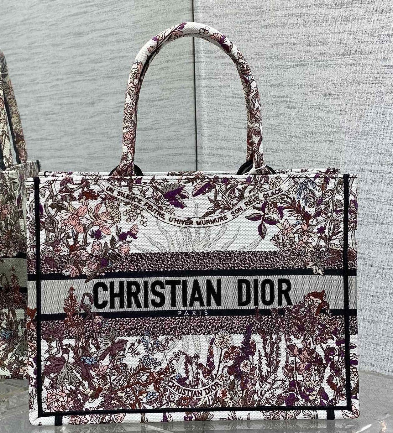 Dior Medium Book Tote Bag in Dior 4 Saisons Hiver Soleil Embroidery