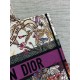 Dior Medium Book Tote Bag in Dior 4 Saisons Été Soleil Embroidery