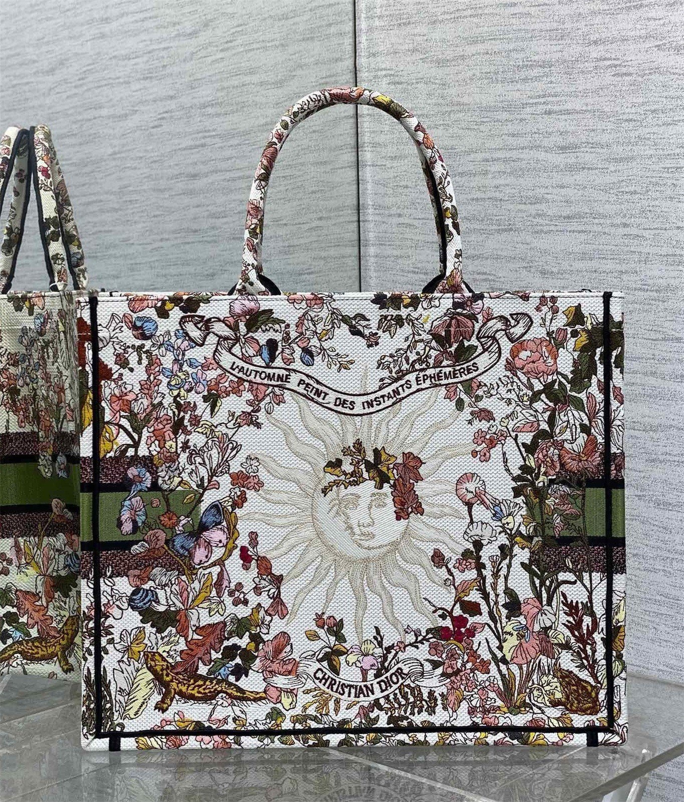 Dior Large Book Tote Bag in Dior 4 Saisons Automne Soleil Embroidery