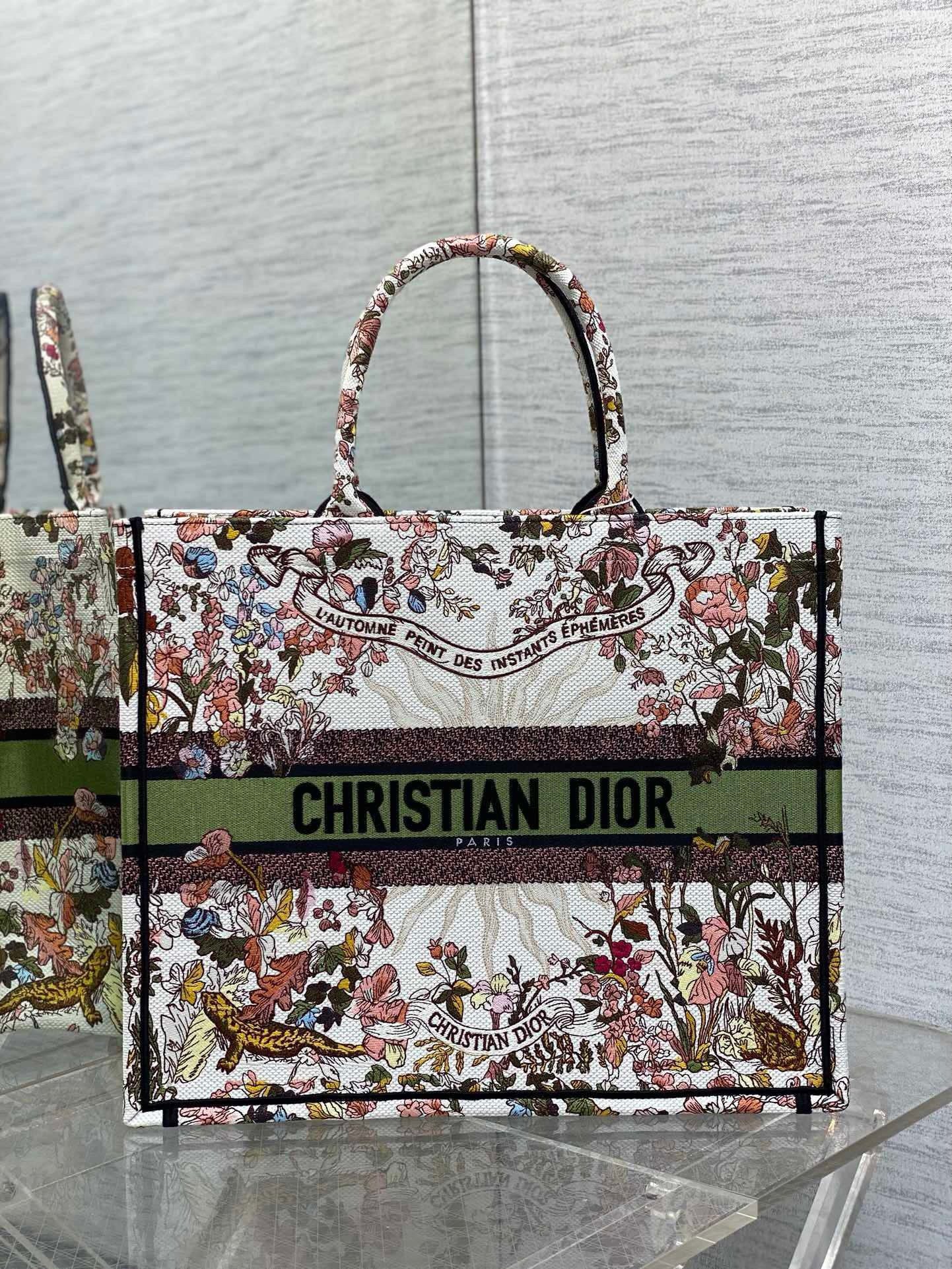 Dior Large Book Tote Bag in Dior 4 Saisons Automne Soleil Embroidery