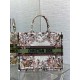 Dior Large Book Tote Bag in Dior 4 Saisons Automne Soleil Embroidery