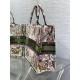 Dior Large Book Tote Bag in Dior 4 Saisons Automne Soleil Embroidery