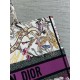 Dior Large Book Tote Bag in Dior 4 Saisons Été Soleil Embroidery