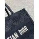 Dior Medium Book Tote Bag in Black Toile de Jouy Soleil Macramé Embroidery